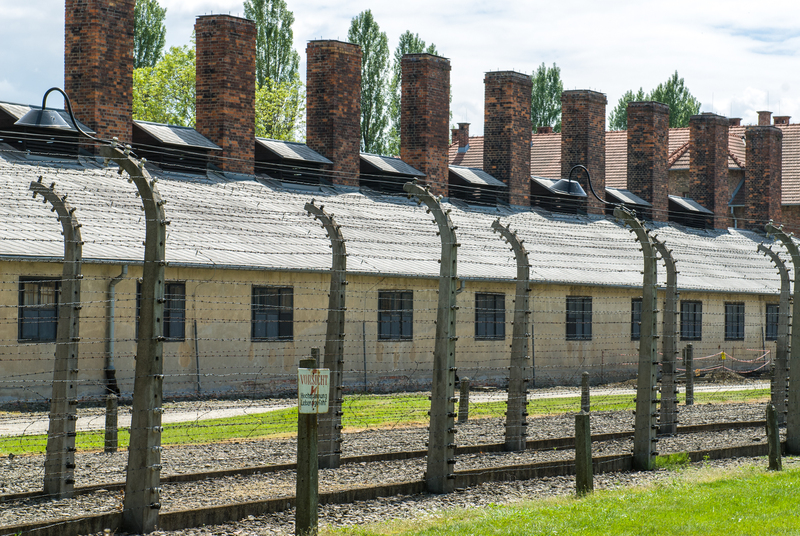 _RL20951.jpg :: Auschwitz concentration camp