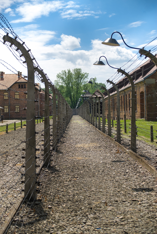 _RL20953.jpg :: Auschwitz concentration camp