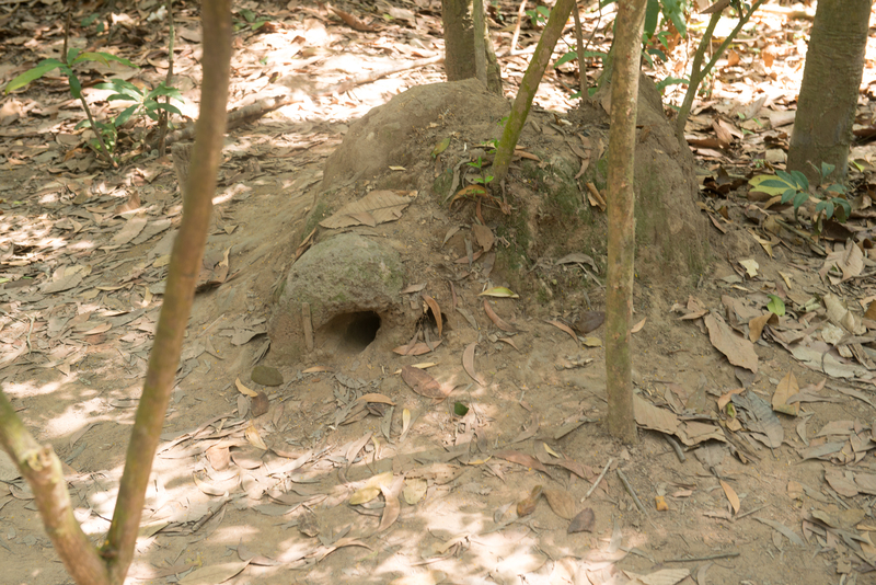 RL5_2868.jpg