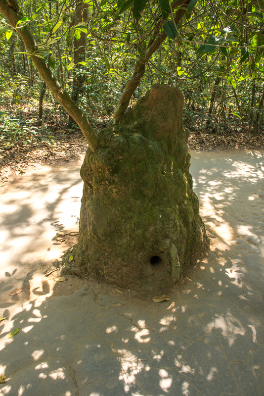 RL5_2870.jpg
