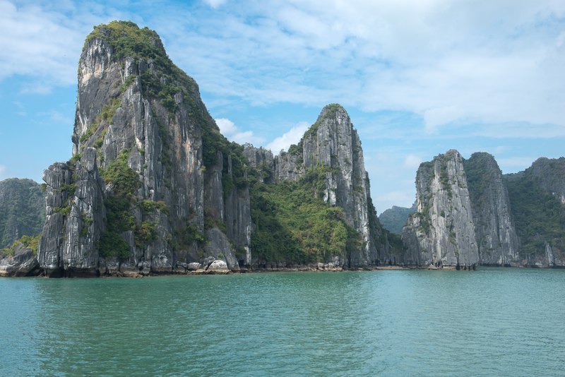 RL5_3303(1).jpg