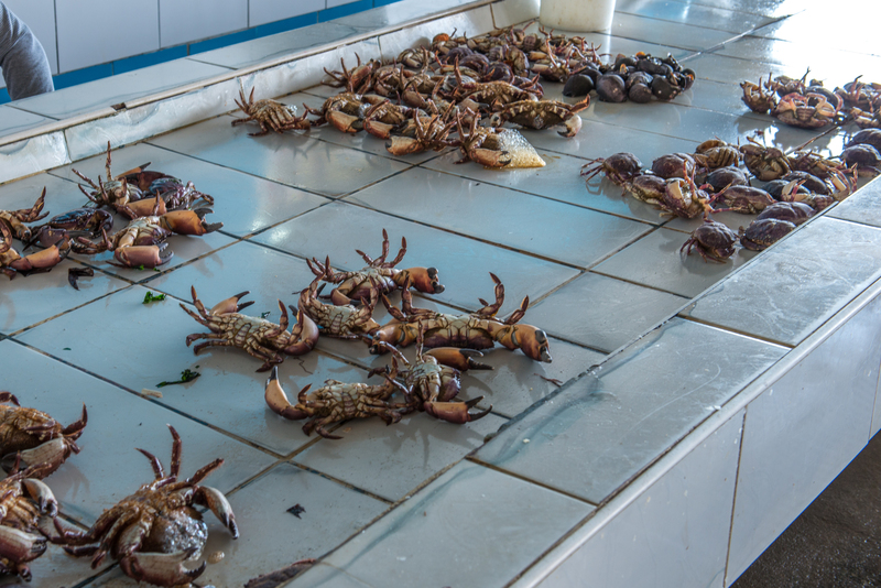 RL5_7685.jpg :: Crab market, Chorrillos Fisherman's Wharf.