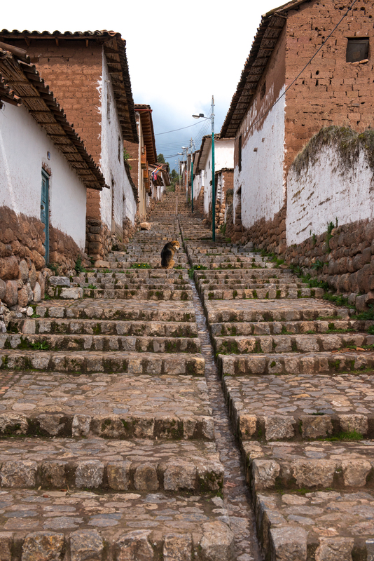 RL5_7860.jpg :: Stairs and drainage, Chinchero District