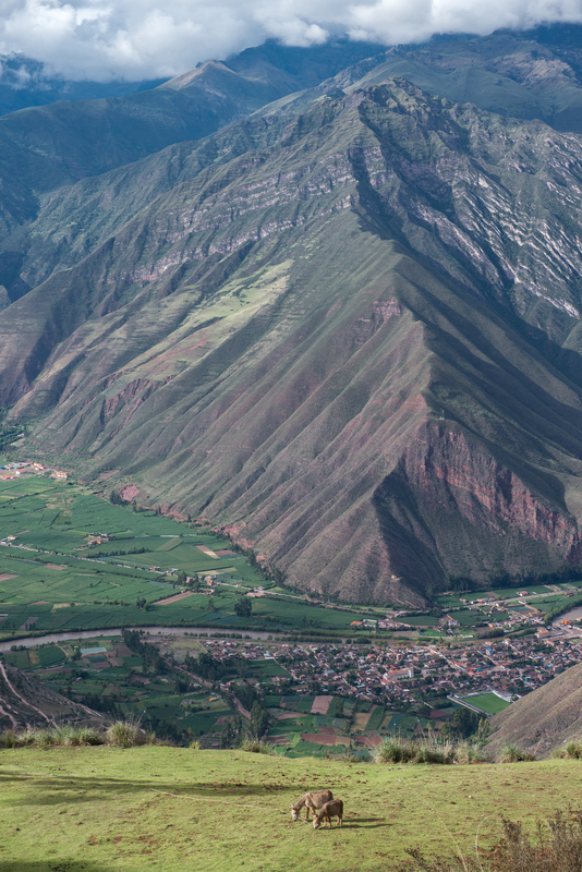 RL5_7891.jpg :: The Sacred Valley