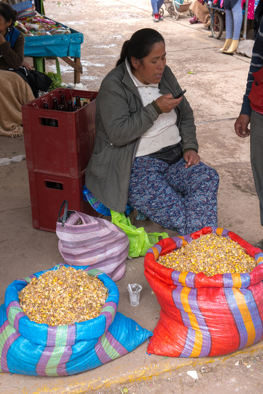 RL5_7960.jpg :: Woman talks on her cell phone, Calca Market