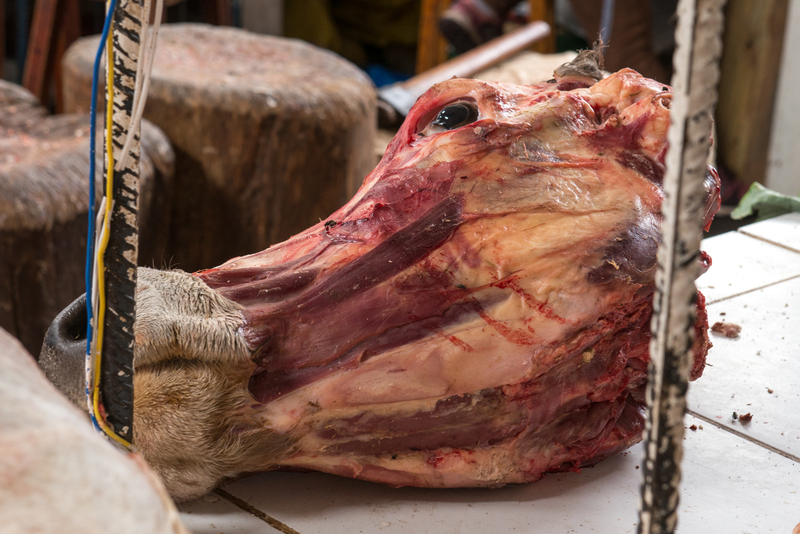 RL5_7970.jpg :: Cows head, Calca Meat Market