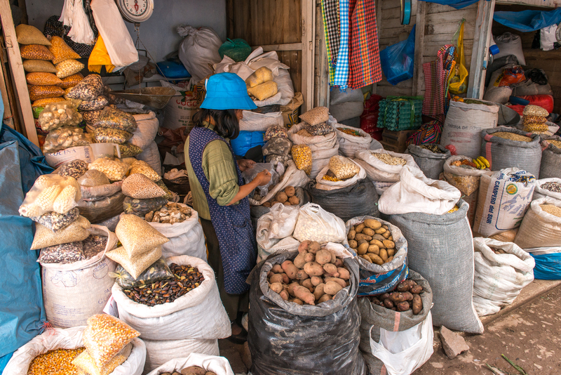 RL5_7987.jpg :: Calca Market