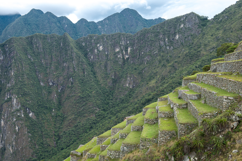 RL5_8219.jpg :: Machu Picchu