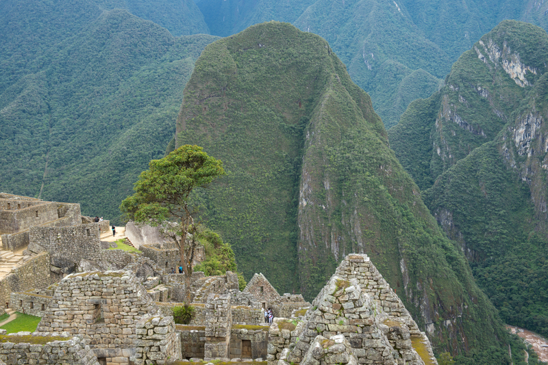 RL5_8259.jpg :: Machu Picchu