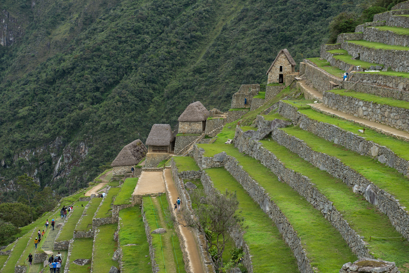 RL5_8264.jpg :: Terraces, Machu Picchu