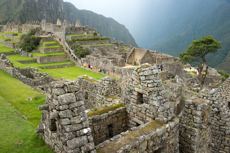 RL5_8272.jpg :: Machu Picchu
