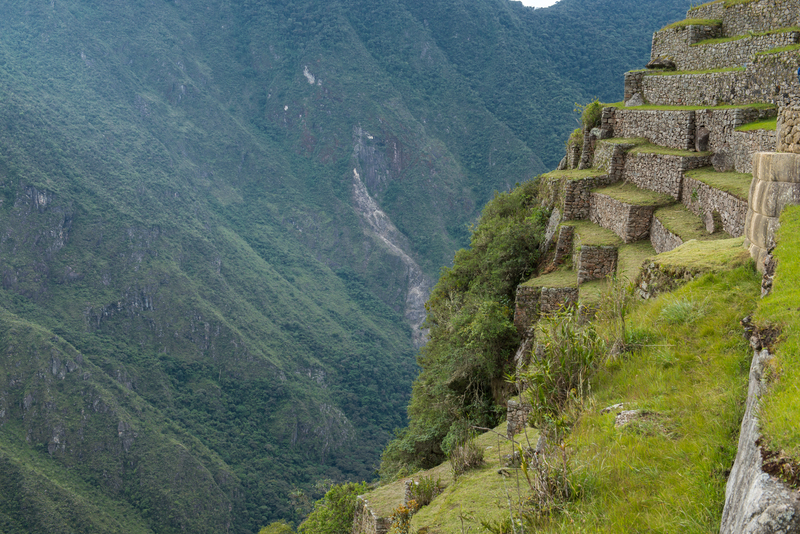 RL5_8312.jpg :: Terraces, Machu Picchu