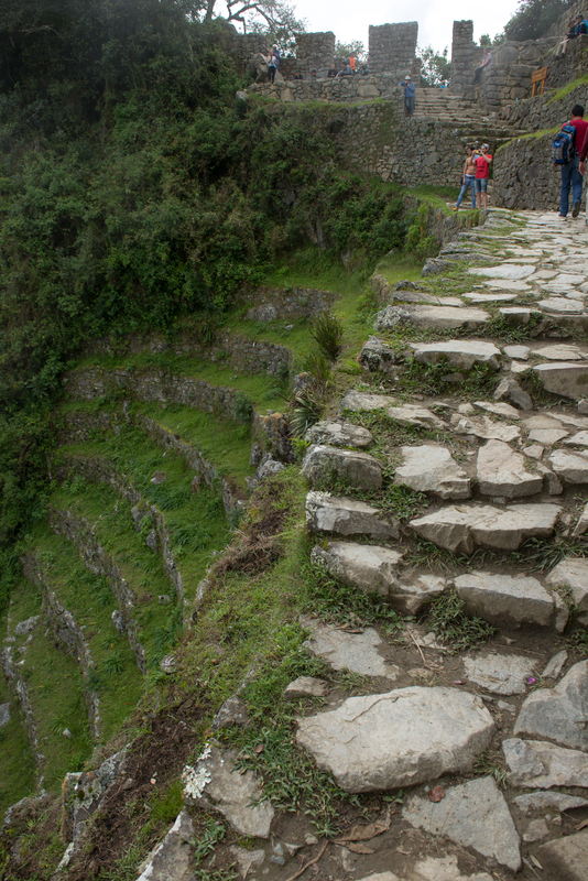 RL5_8415.jpg :: Terraces near the Sun Gate, Machu Picchu