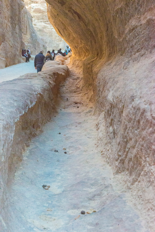 RL6_0174.jpg