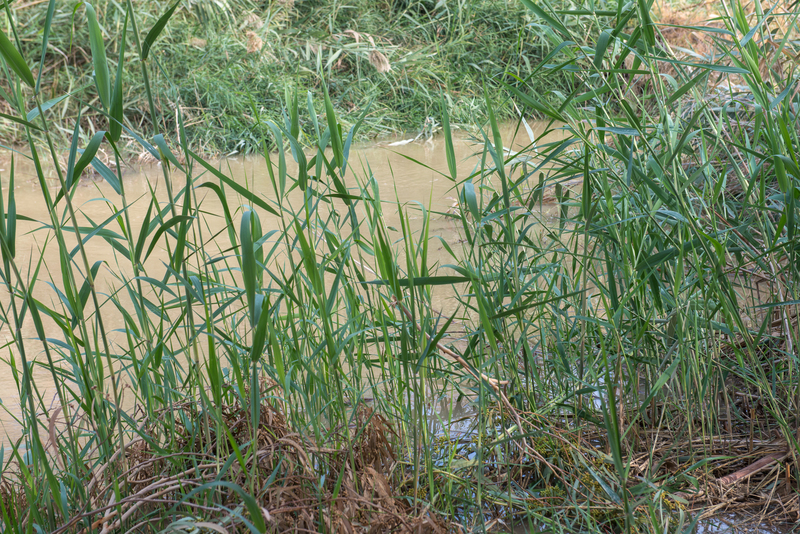 RL6_0415.jpg