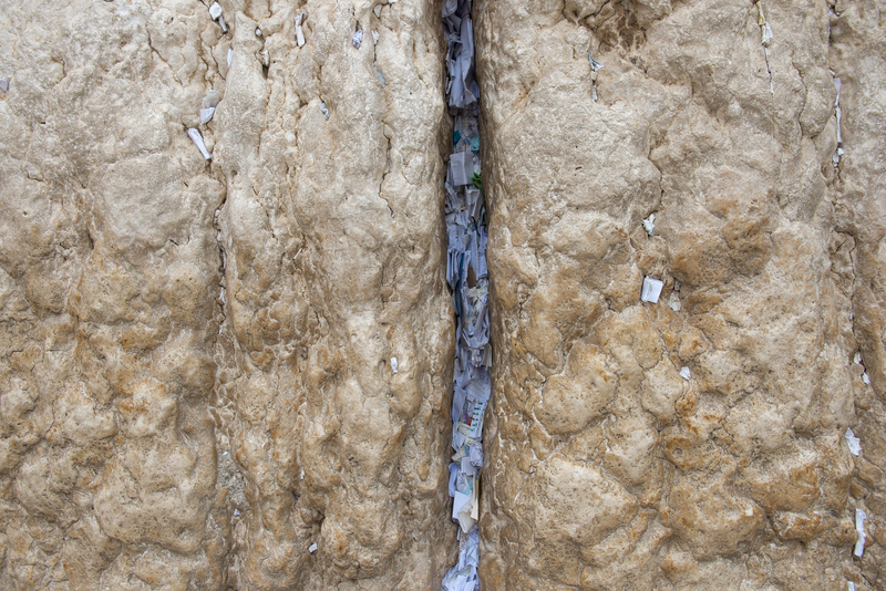 RL6_0545.jpg