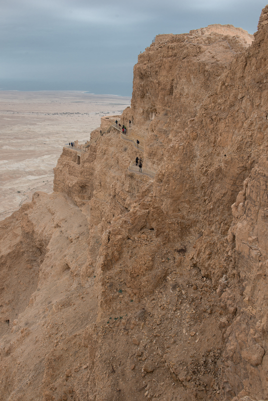 RL6_0777.jpg