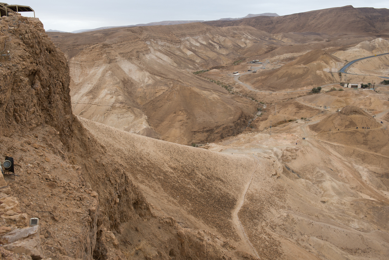 RL6_0795.jpg