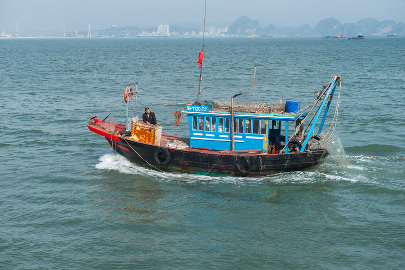 RL6_3404(1).jpg