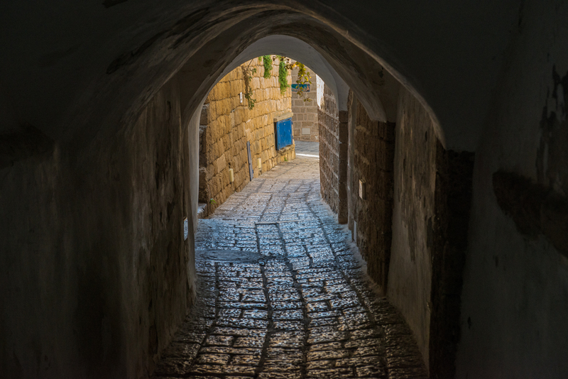 RL6_8747.jpg