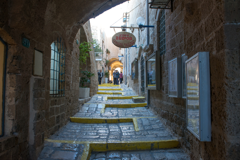 RL6_8757.jpg