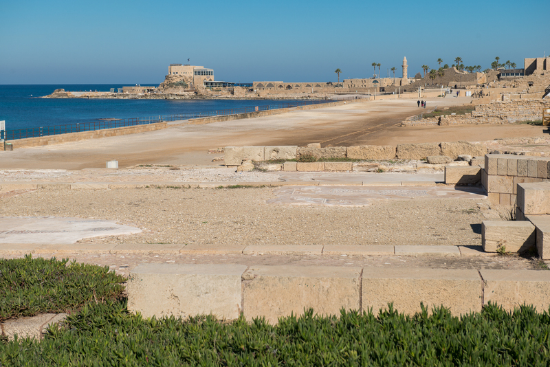 RL6_8793.jpg