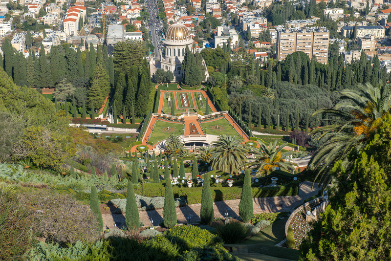RL6_8883.jpg