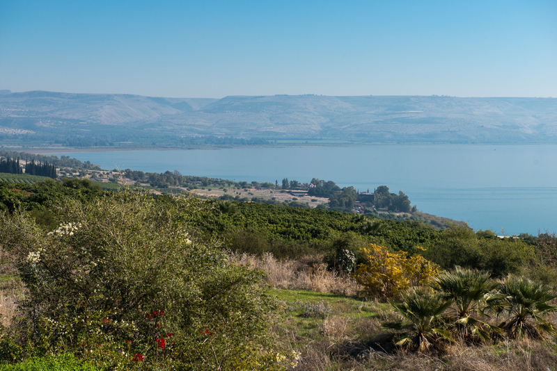 RL6_8929.jpg