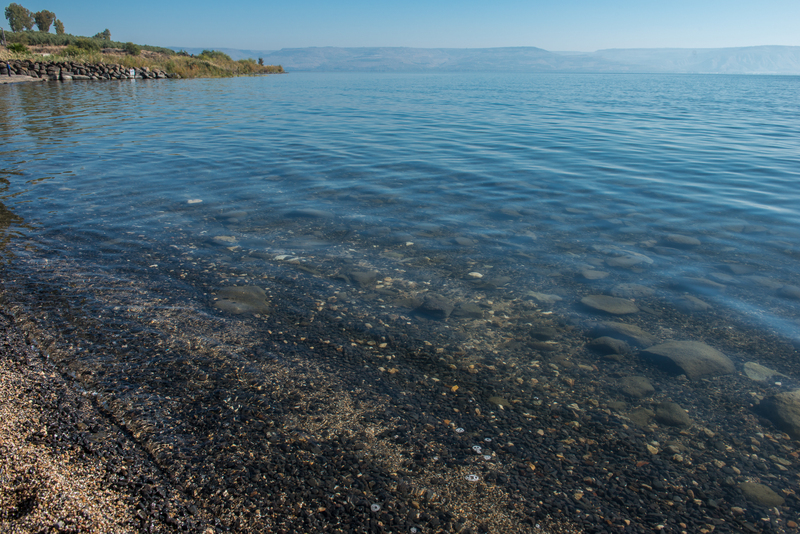 RL6_8946.jpg