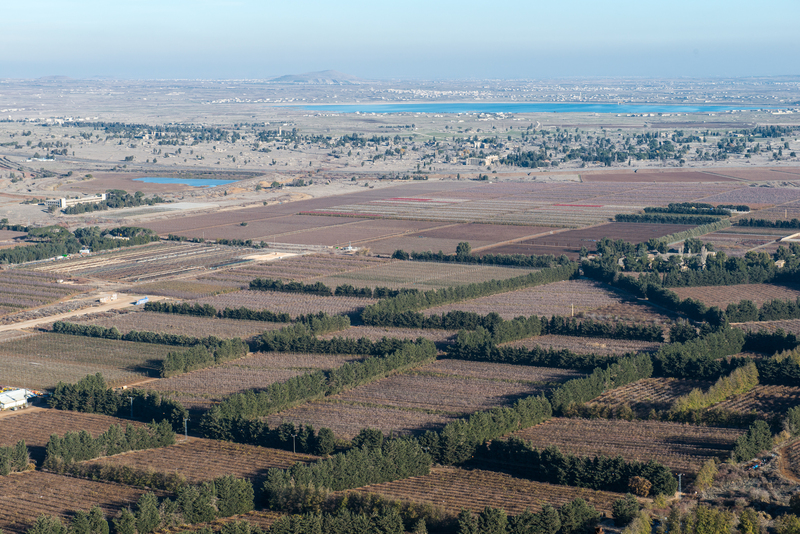 RL6_9031.jpg