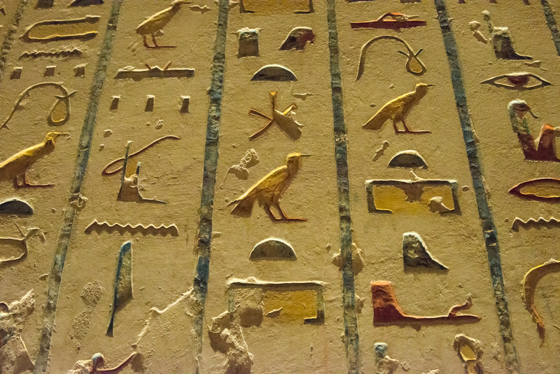 RL6_9543.jpg