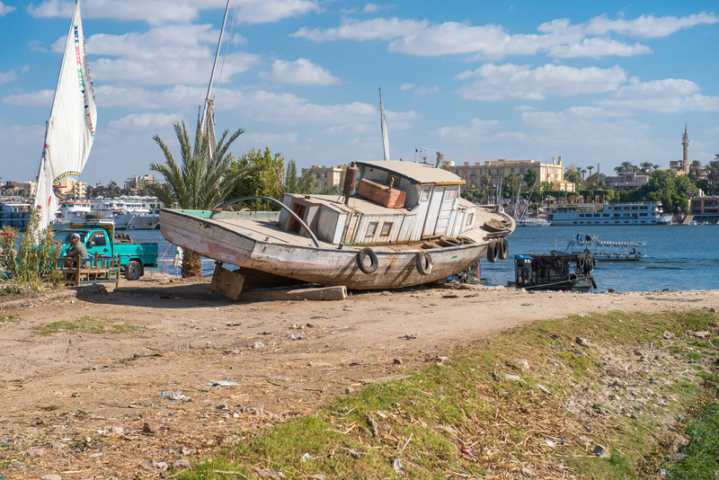 RL6_9591.jpg