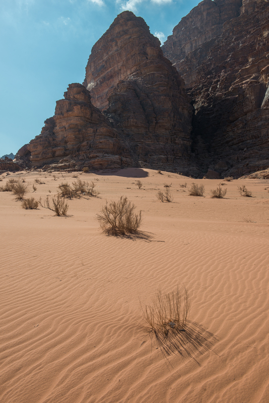 RL6_9676.jpg :: Wadi Rum desert, Jordan