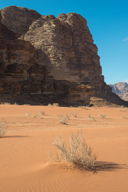 RL6_9682.jpg :: Wadi Rum Desert, Jordan