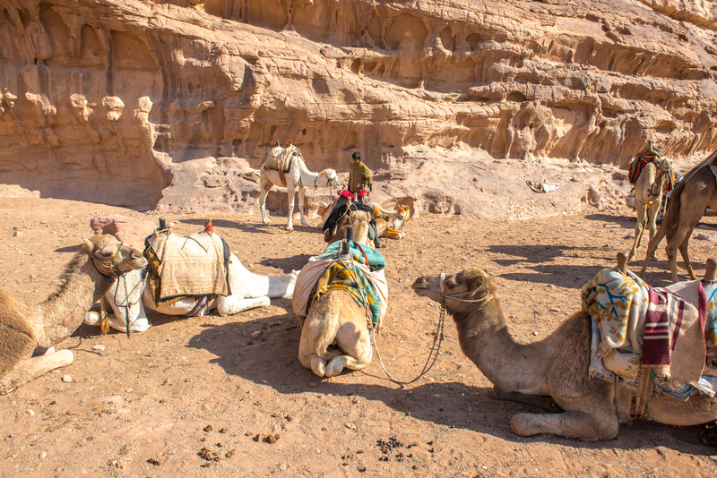 RL6_9712.jpg :: Bedouin camp provides travel by camel through the Wadi Rum Desert, Jordan