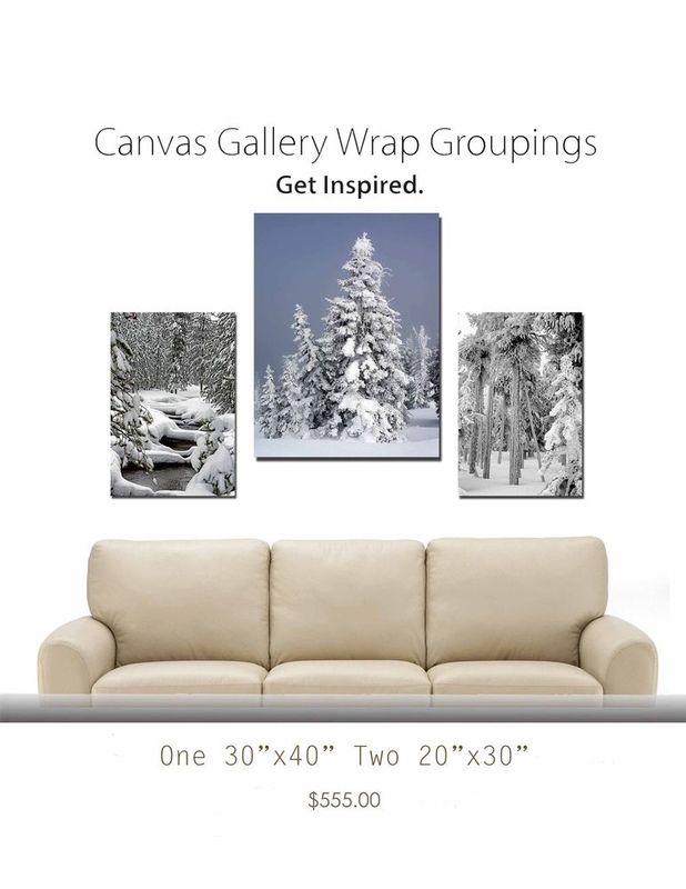 Canvas Group 01.jpg