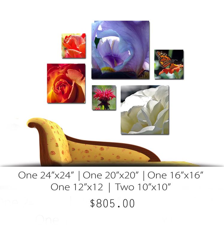 Canvas Group 09.jpg