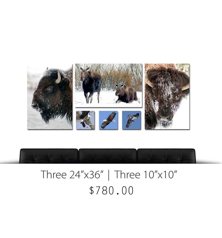 Canvas Group 11.jpg