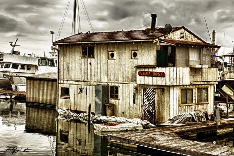 Nyna Rose.jpg :: Nyna Rose