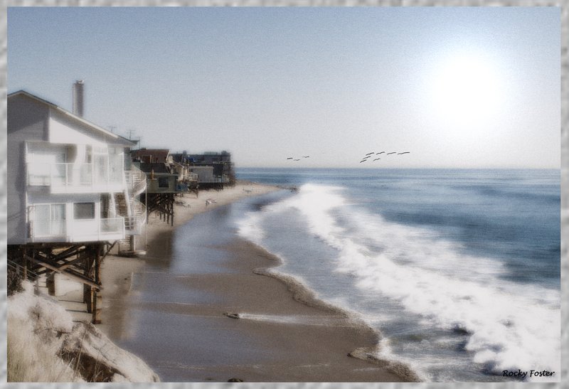 The Beach Life F.jpg