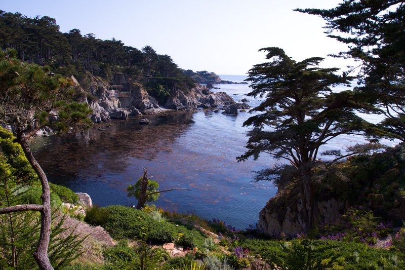 Water and Cliffs.jpg :: Carmel Highlands MG_3474