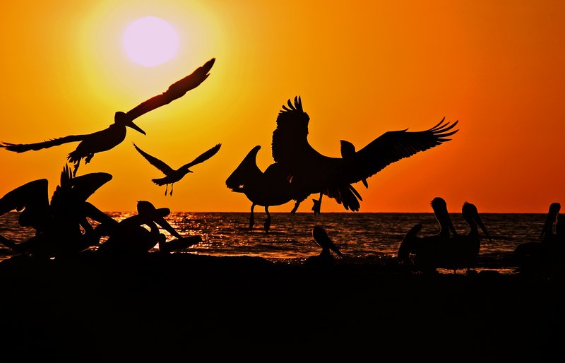 Airport Controllers Nightmare.jpg