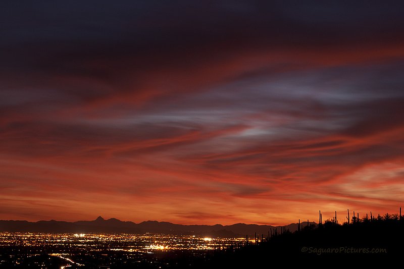 City Lights at Sunset.jpg