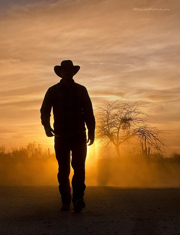 Cowboy Sunset.jpg :: Cowboy Sunset