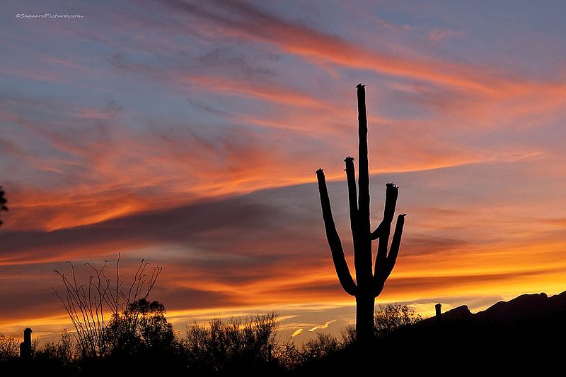 Criss-Cross.jpg :: Criss-Cross