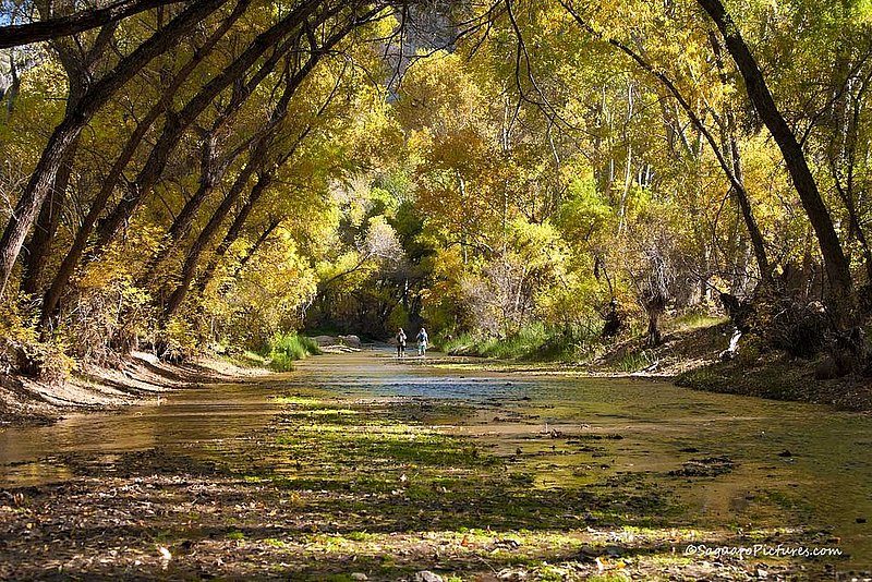 Hiking Aravaipa.jpg :: Hiking Aravaipa