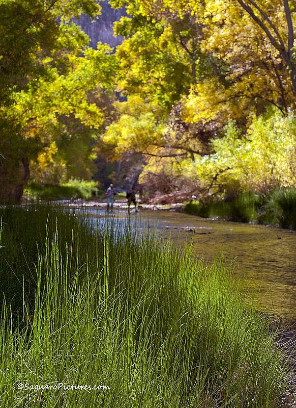 Hiking Through Aravaipa Canyon.jpg :: Hiking Through Aravaipa Canyon