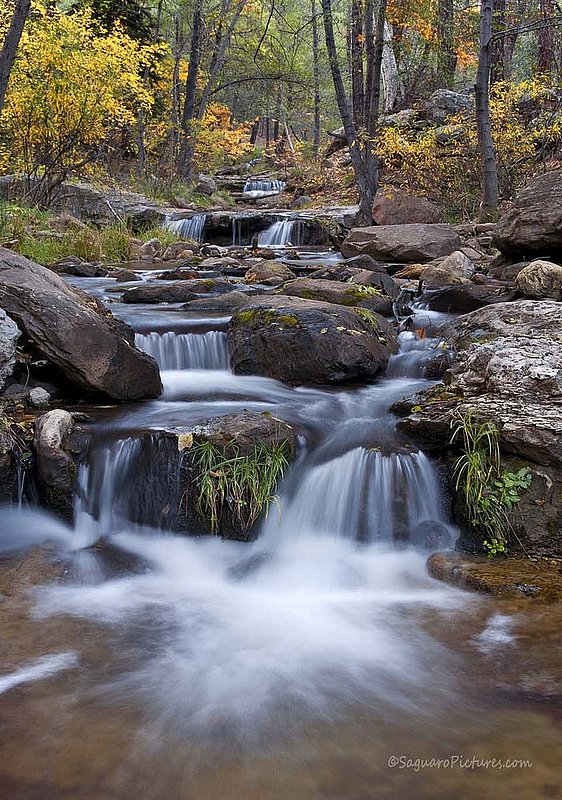 Horton Creek.jpg :: Horton Creek