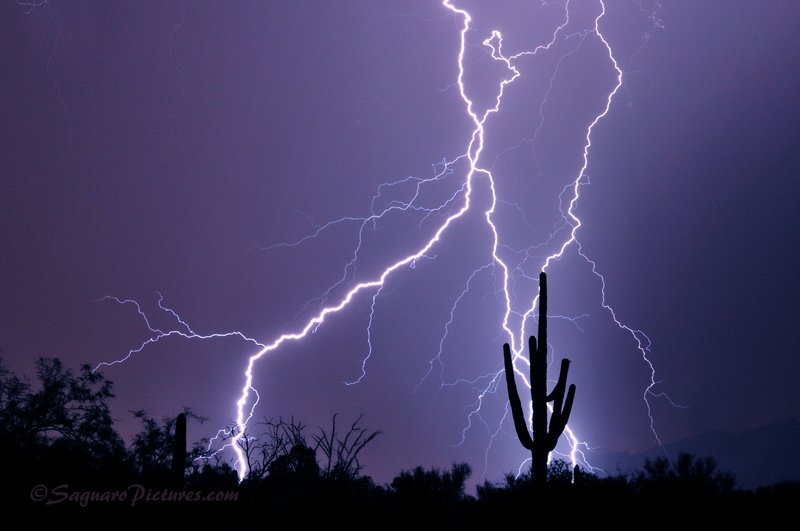 Jessicas Lightning.jpg :: I took my 11yr old daughter out with me last night to teach her a little about photography. We got to this spot and it was sprinkling. As soon as we got out of the car and set up tripods it started pouring. Buckets of water would be an understatement as we threw everything back in the car and waited to see if the rain would die down. Thankfully it did. We had about 15 minutes of light sprinkling and both of us were able to catch a couple good shots. This was her shot!  I sent it into the local news channels in Tucson and all three of them aired it on the 10pm news that night.