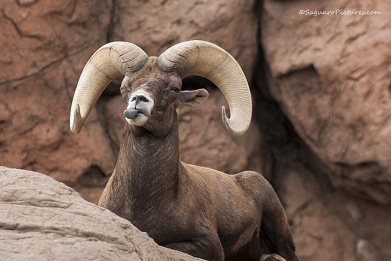 Making Faces.jpg :: Making Faces